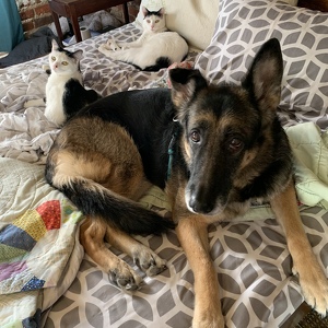 Fundraising Page: Andrew Gorsuch